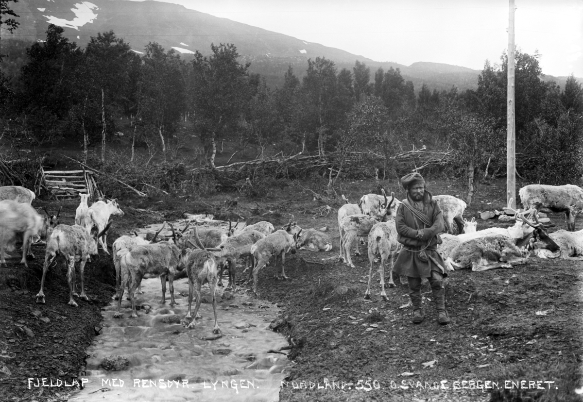 Samisk mann med reinsdyr
Fotografert 1900 Ca.