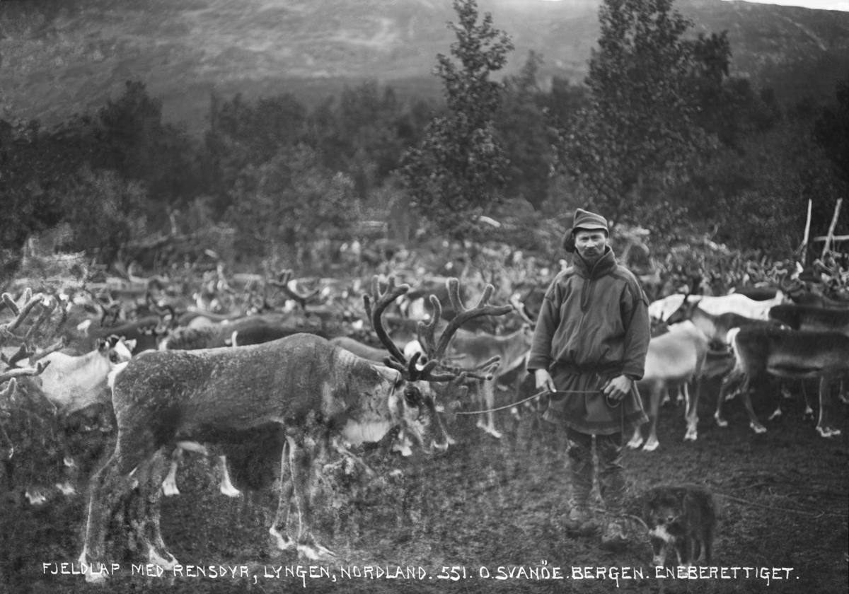 Samisk mann med reinsdyr
Fotografert 1900 Ca.