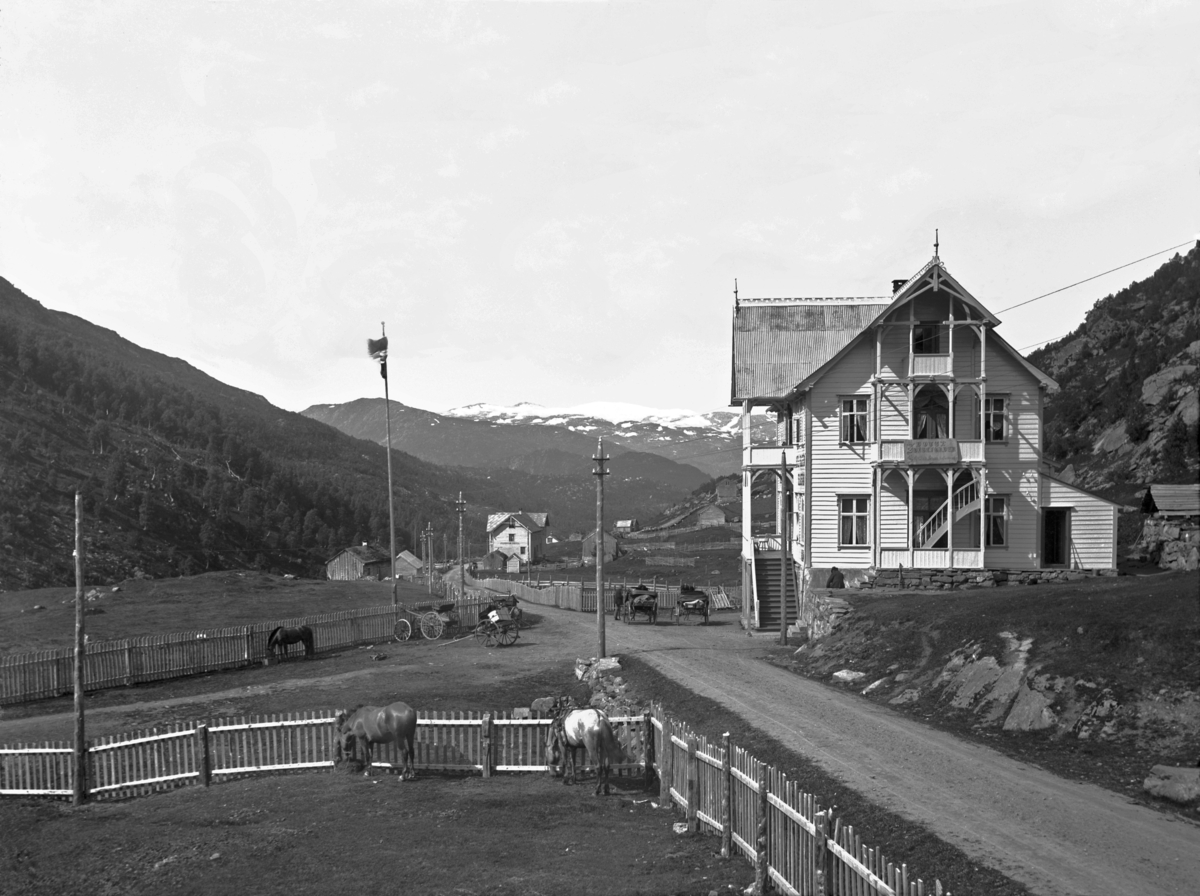 Seljestad, Hotell Folgefonden, Hester,
Fotografert 1903