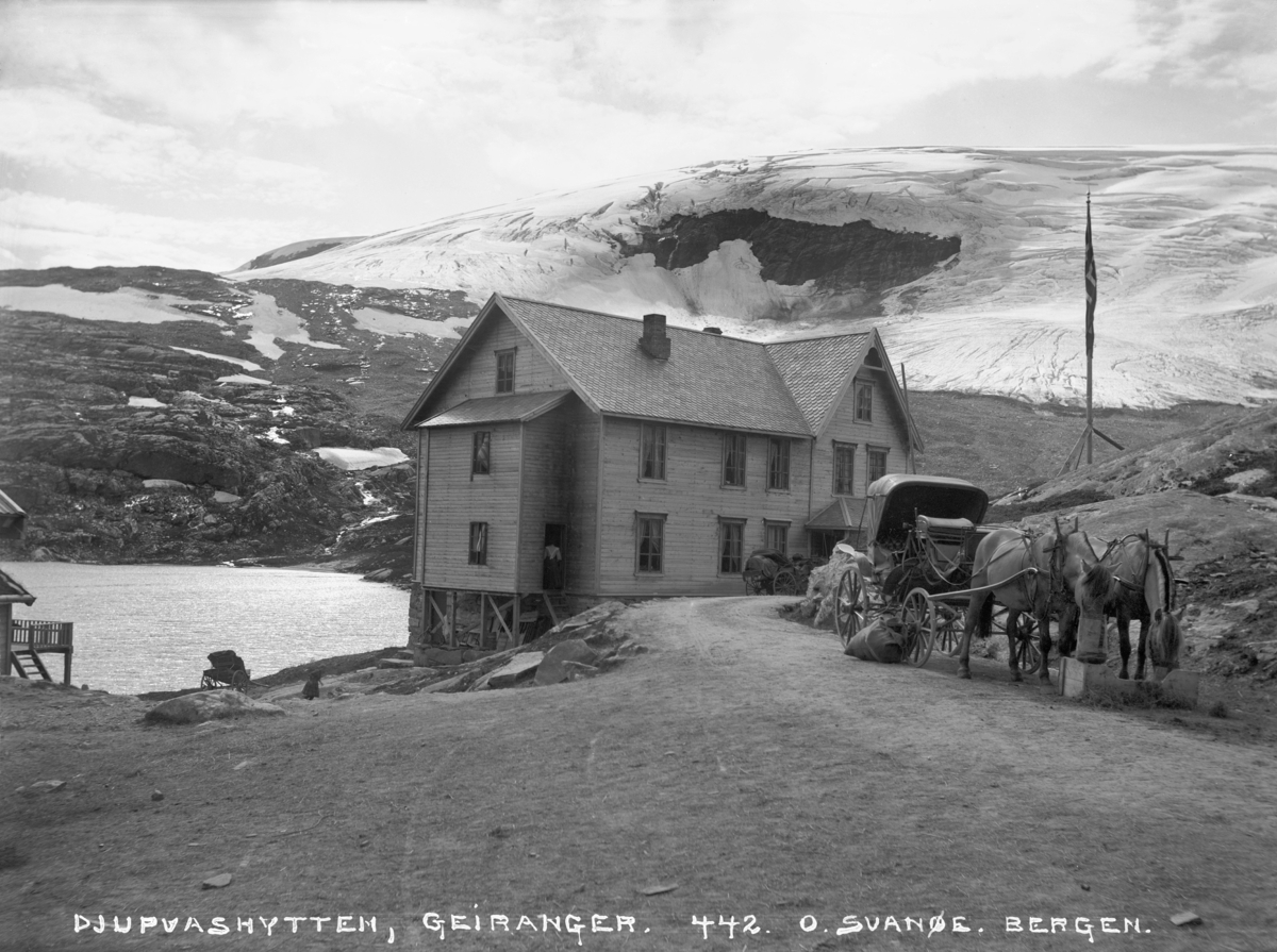 Djupvasshytta, Hest m.vogn
Fotografert 1900 Ca.