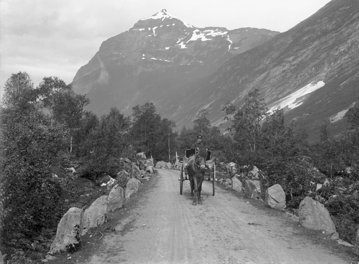 Norangsdalen, Veiparti
Fotografert 1900 Ca.