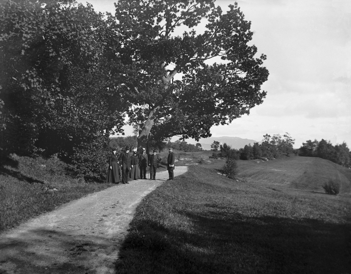 Fra Svanøy
Fotografert 1900 Ca.