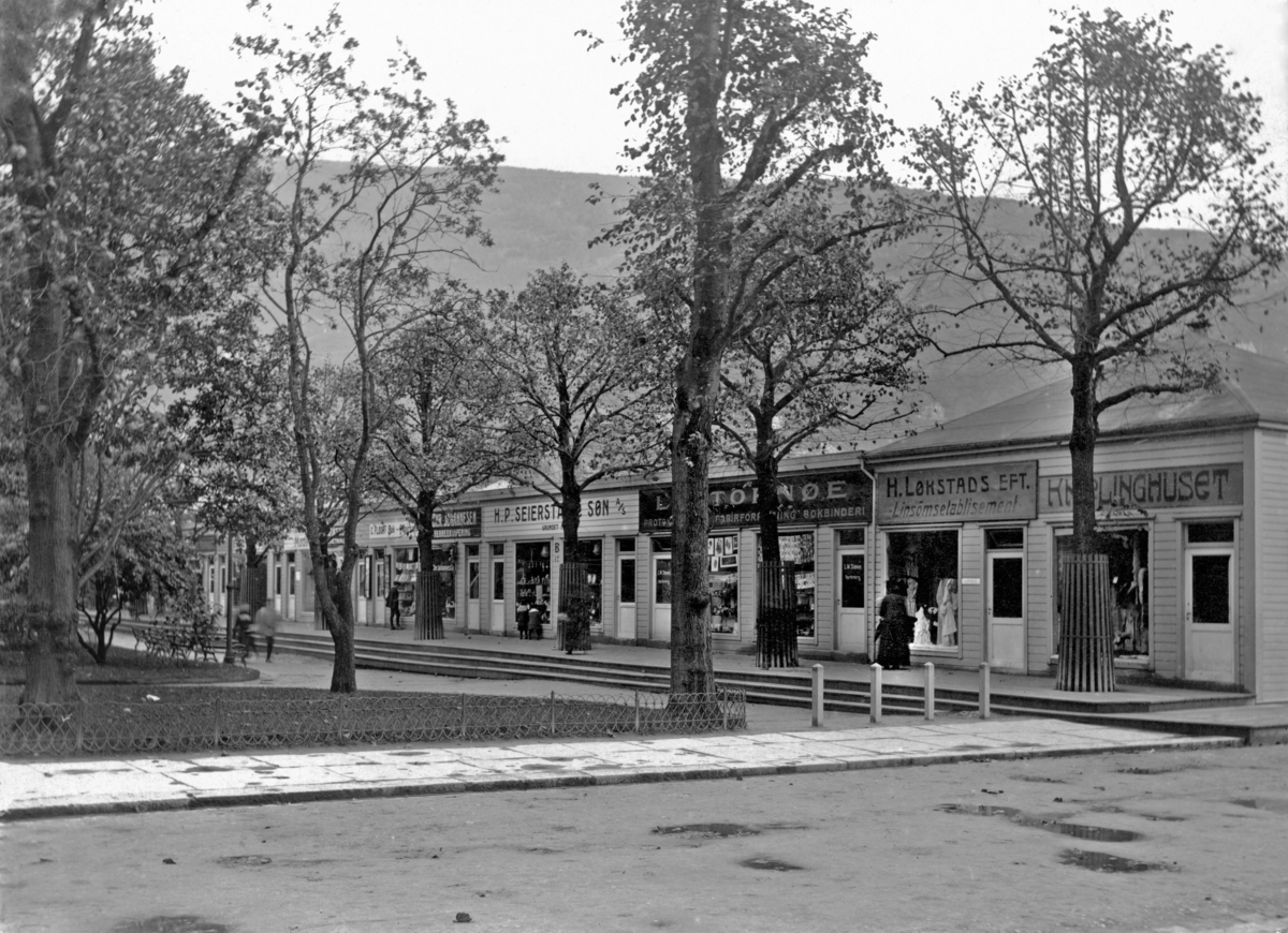 Christiesgate
Brakker ved byparken