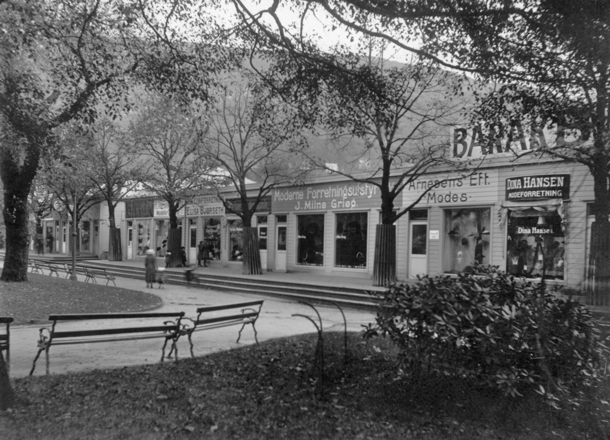 Byparken
Brakker ved Byparken