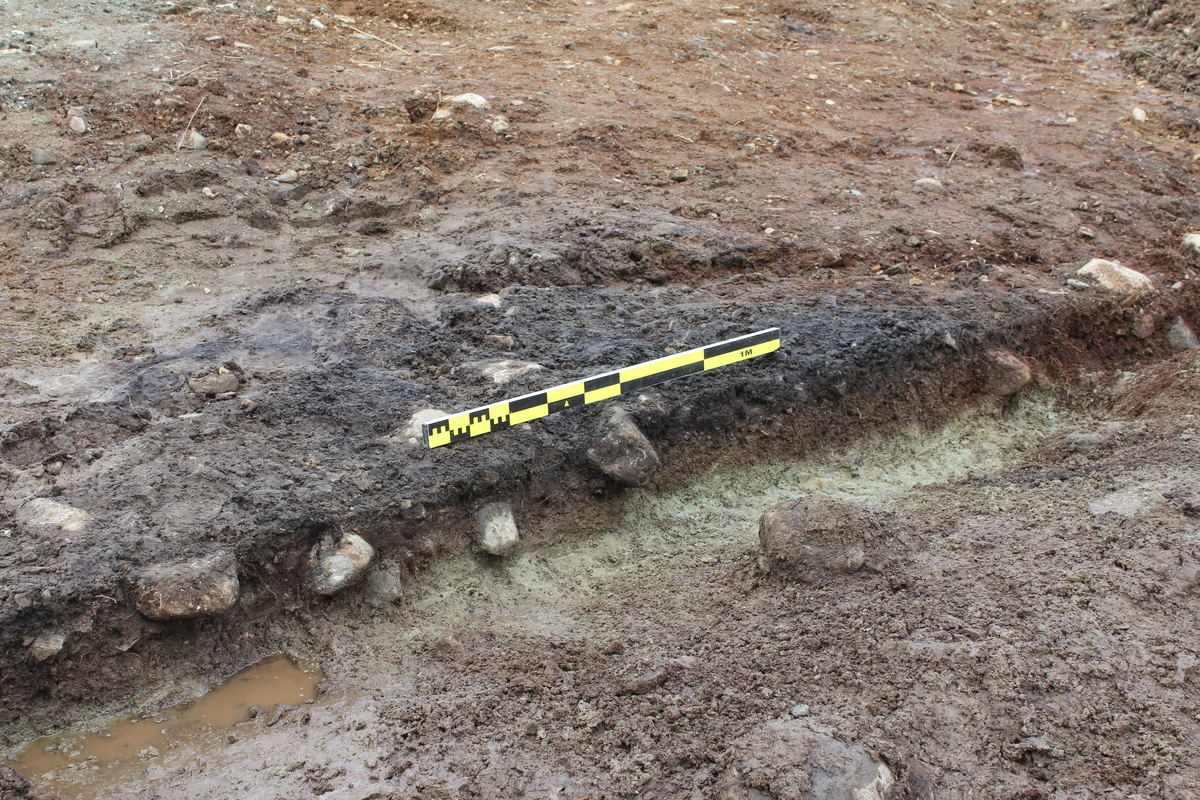 Struktur 182, fossil åkerrest før uttak av dateringsprøver, pollen- og makroprøver