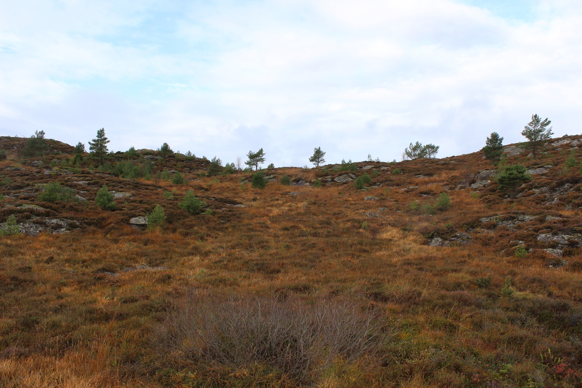 "Bergensleitetdalen"