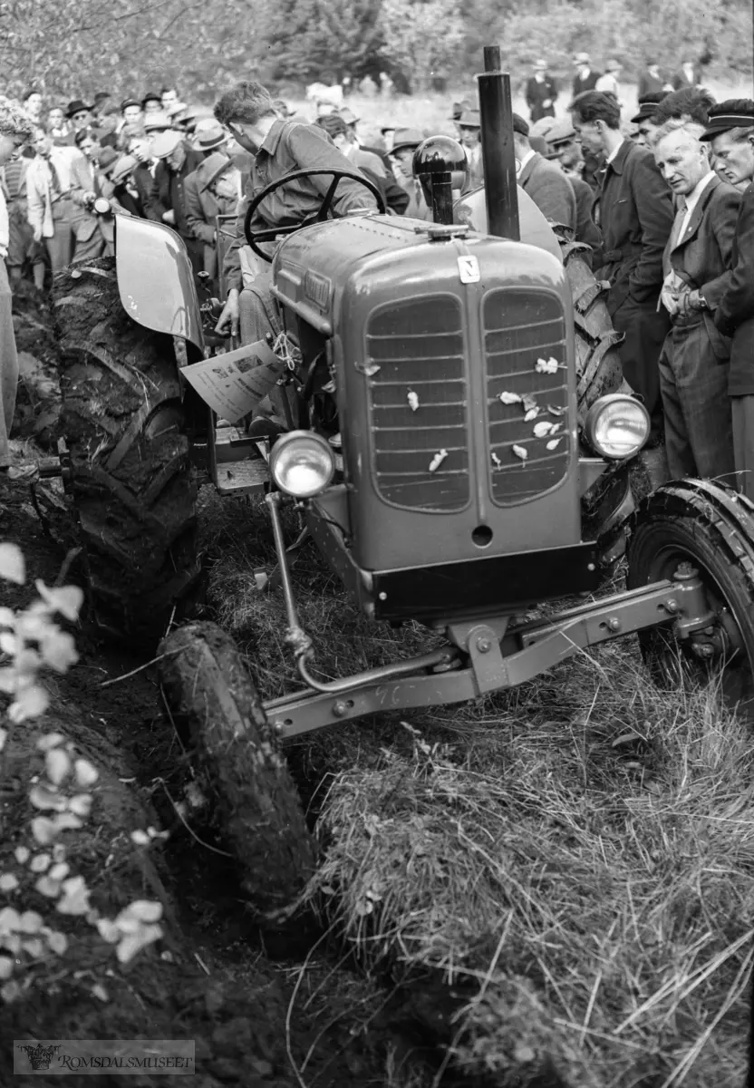 "Fylket si utstilling på Alexandra 17.12.1953"."Romsdalsutstillinga"