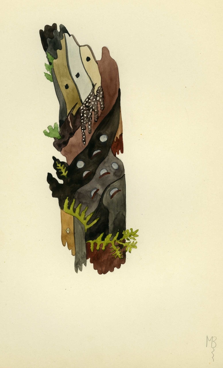 By 9985.51 Akvarell av Miranda Bødtker. Bark. Mappe BA. Scan BA 051. Signert: MB. 1 figur. En trestamme med grønne vekster og mønster i jordtoner. 