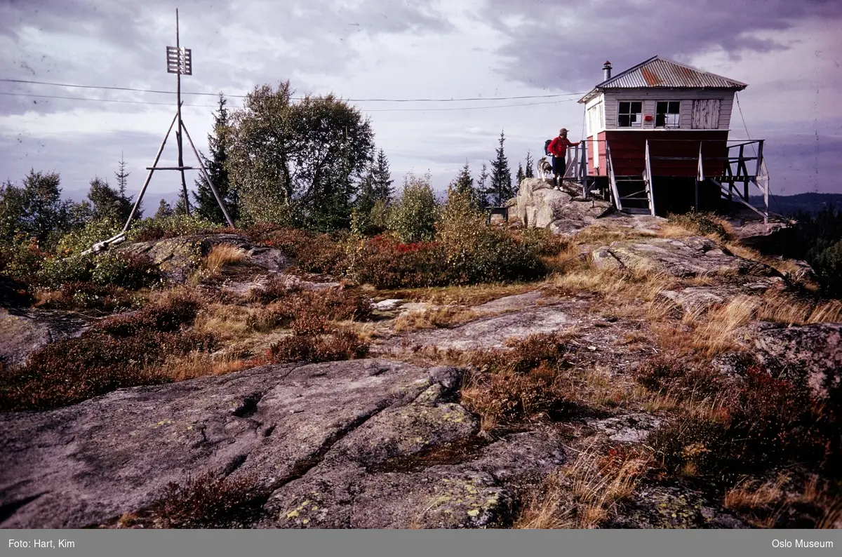 fjelltopp, trigonometrisk punkt, brannvakttårn, mann, hund