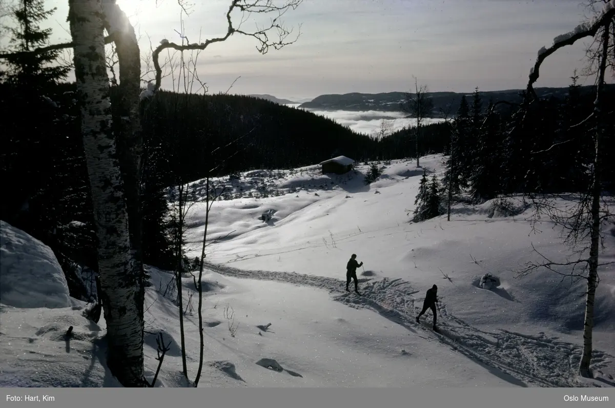 utsikt, skog, skiløype, skiløpere, skitur, hytte, lave tåkeskyer