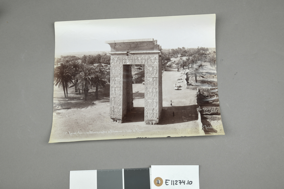 E 11274.10 Svart-hvitt foto av J.P Sebah fra Egypt. 
Tittel: "797 Karnak. Avenue des Béliers & propylône de Prolémée vue du temple de Khons". 