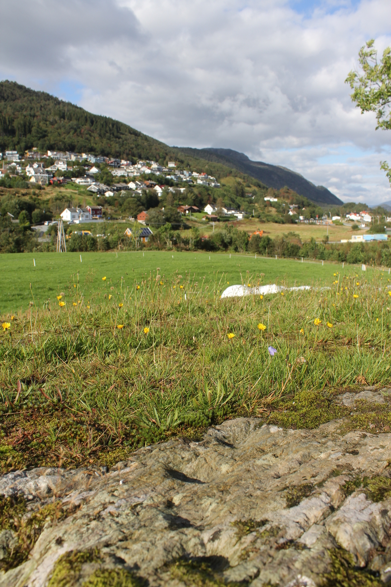 Helleristning utsyn mot Hjelle