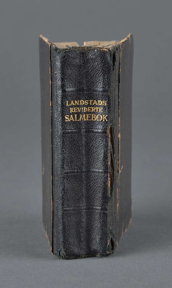 Landstads reviderte salmebok

Utgitt på Andaktsbokselskapets forlag i 1942