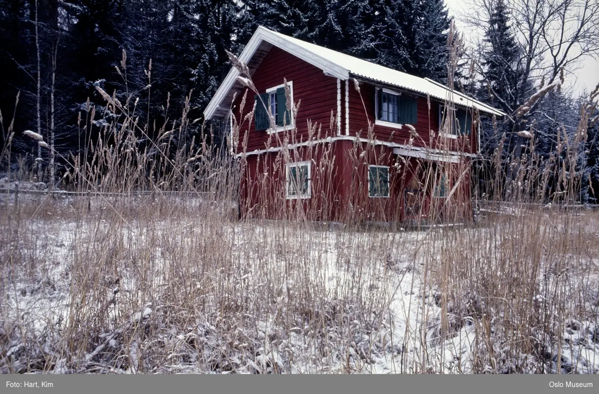 husmannsplass, bolighus, tømmerhus, snø