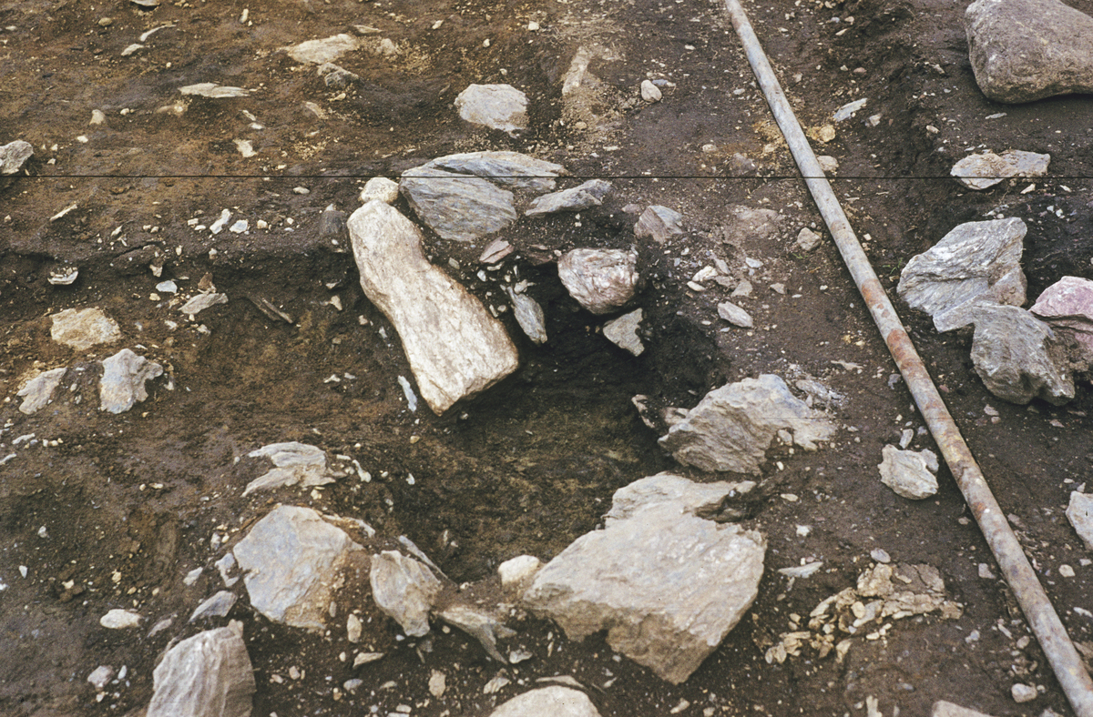 Tuft 3. Stolpehull 20 snittet. Fra S.