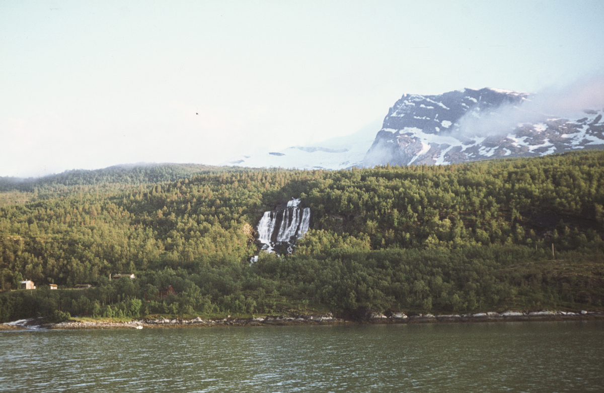 Forsheim ved Narvik, Forsheimområdet sett fra fjorden.