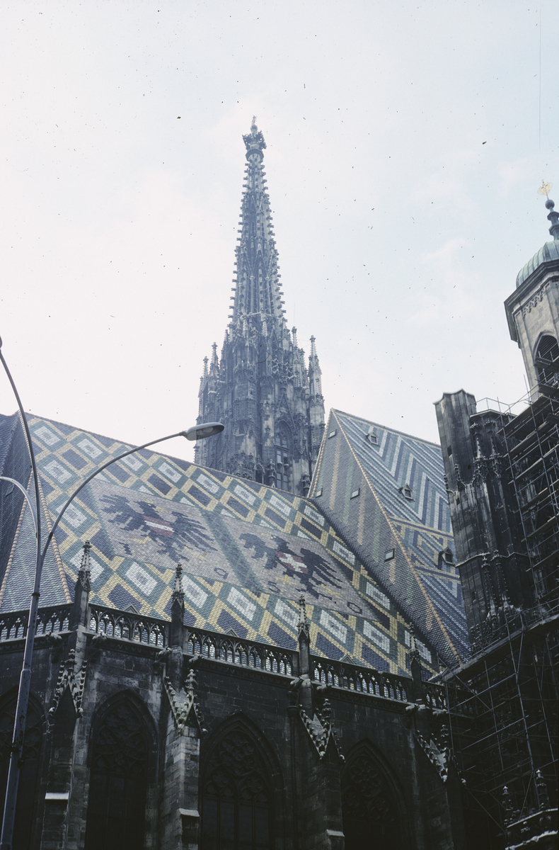 St. Stephan katedralen i Wien.