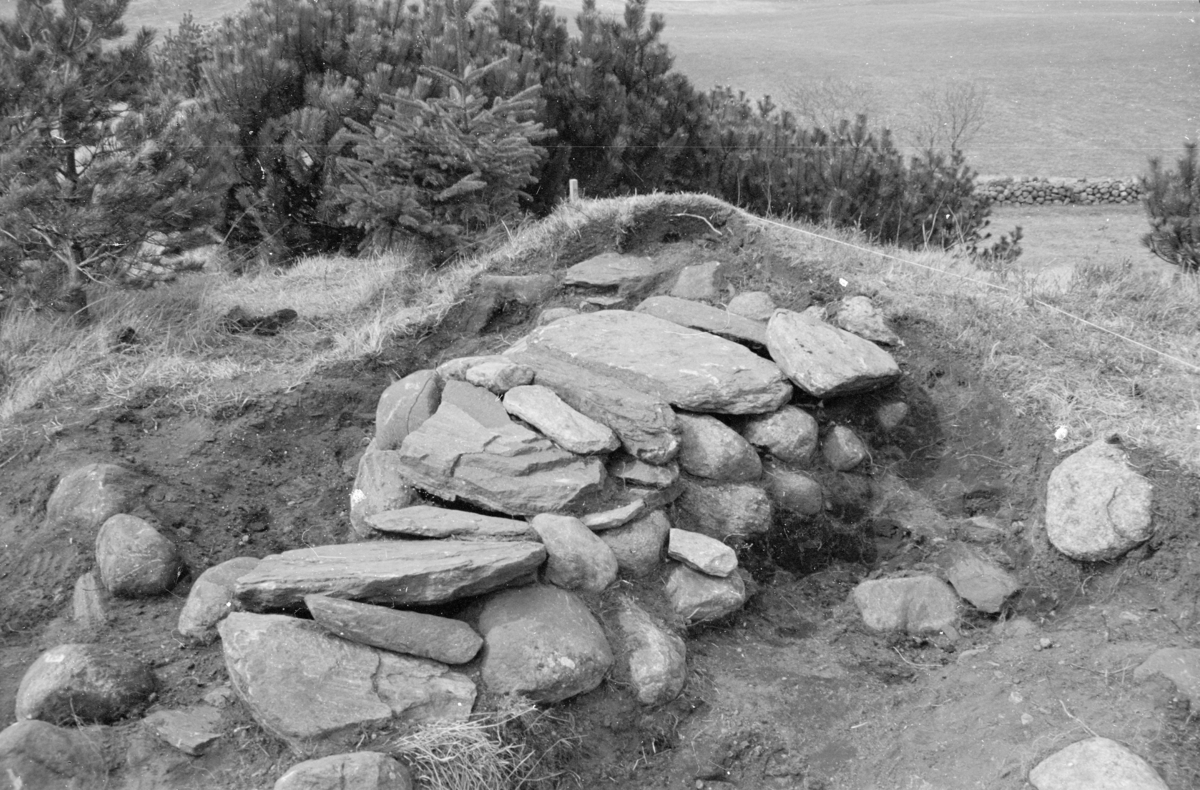 Haug 19 "Golhaug"  fra SØ, ringåsreir.