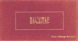 Häfte med 10 fotografier från Halmstad i ett ark vikt likt "