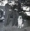 Bränder i Norra Möckleby september 1958. Undersökande poliser med polishund.