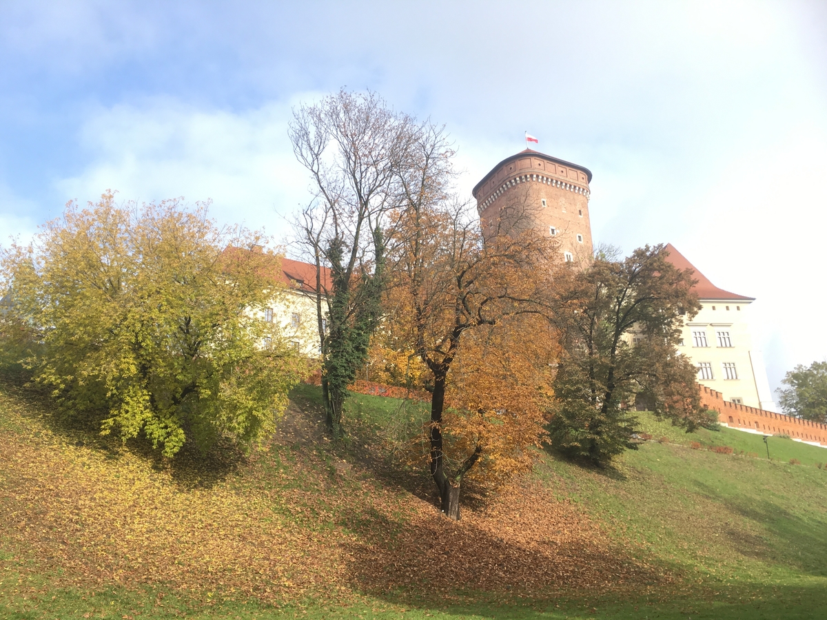 Slottet Wawel. Krakow by.