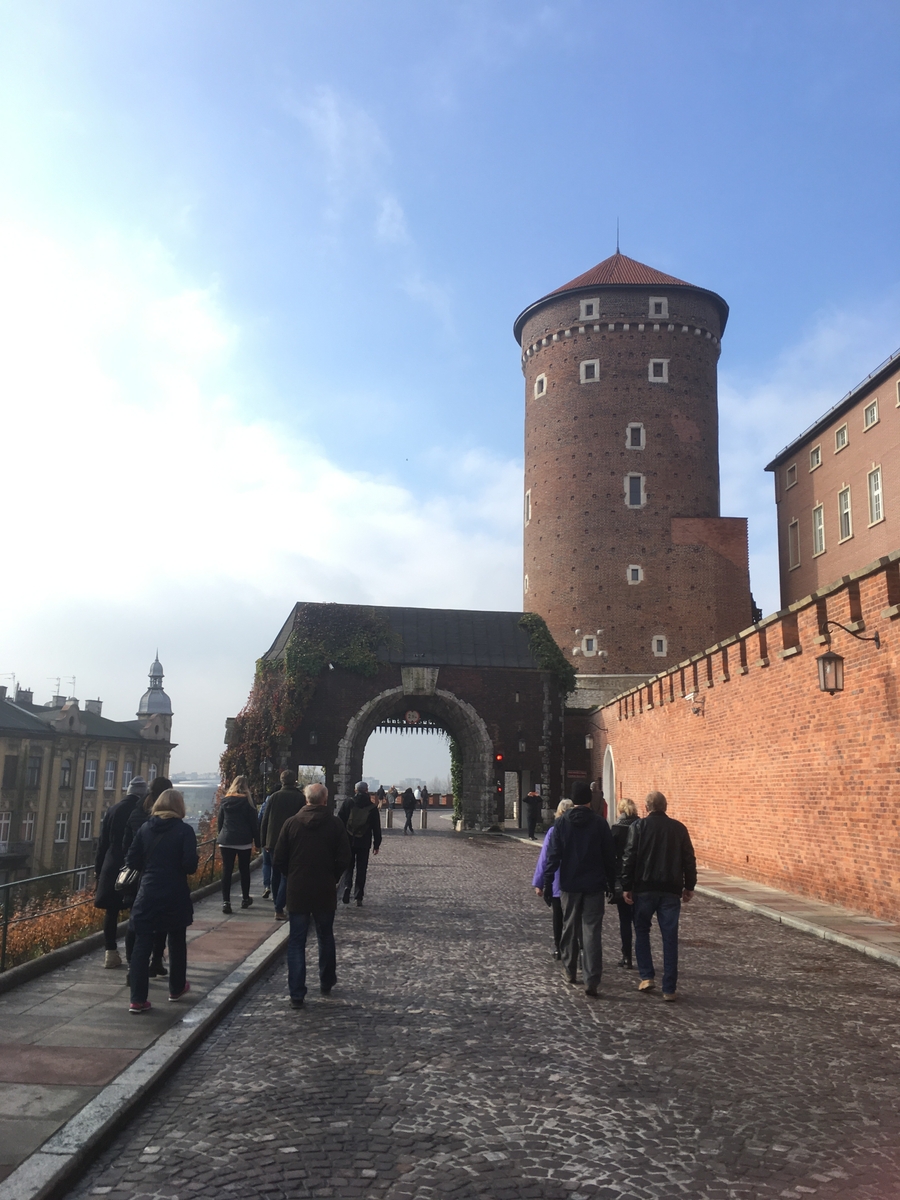 Slottet Wawel. Krakow by.