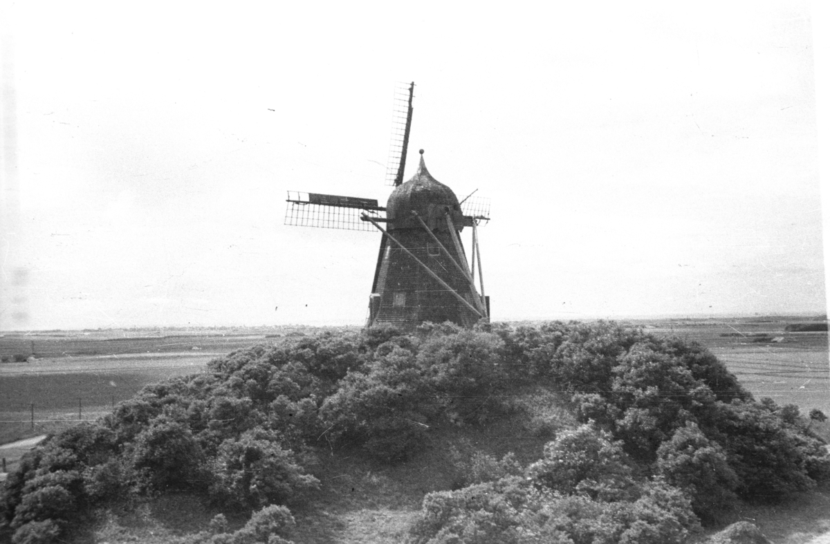 Vindmølle ved Børglum kloster.