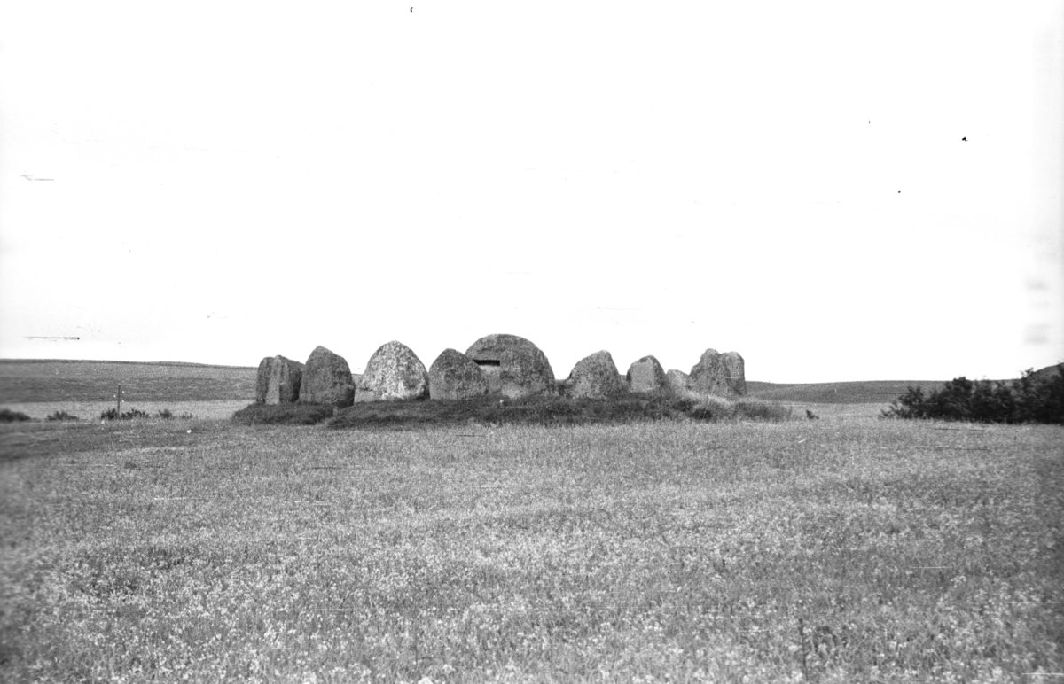 Knebel på Mols: Runddysse (gravhaug).