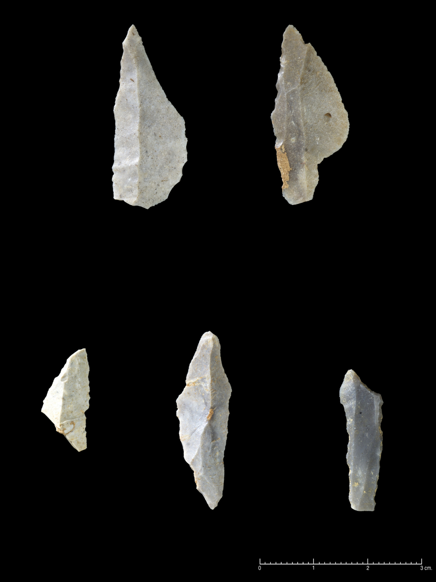 Lansettmikrolitter med delvis retusjert sidekantj: S13970.5, to lansettmikrolitter med delvis retusjert sidekant: S13970.5, og en skjev trekantmikrolitt: S13970.6.