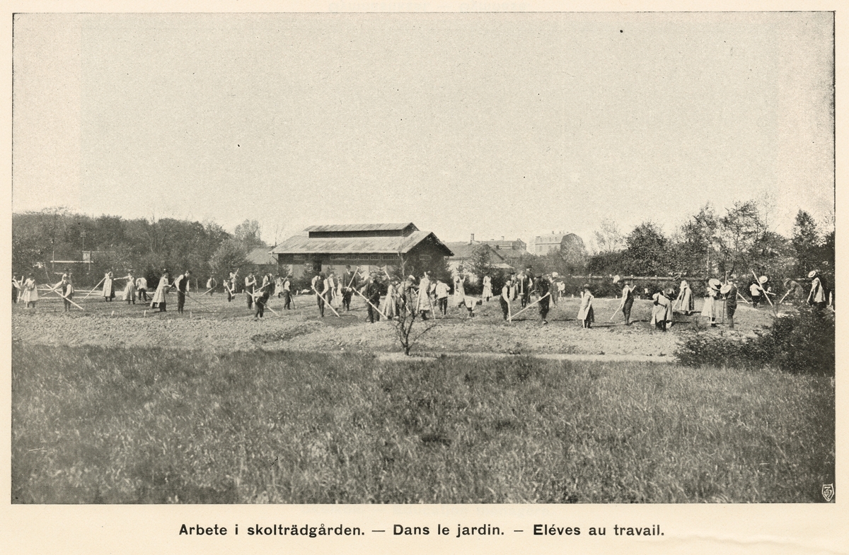 Illustration ur Notice sur l'école de sourds-muets de Venersborg av Fredrik Nordin, 1907