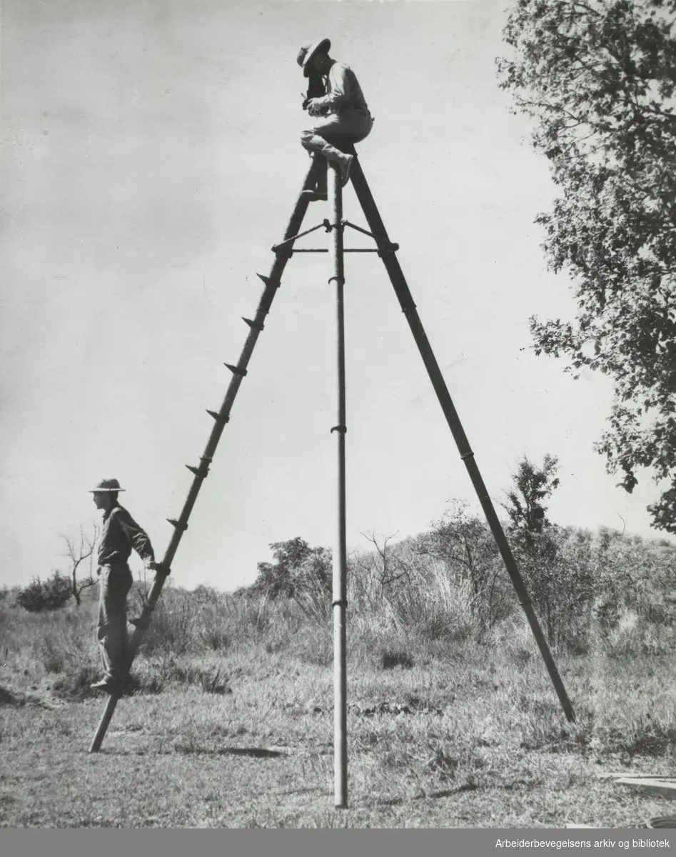 "Fotografering i jungelen. En gunstig plass når det er mange tigre omkring". Udatert. Arbeidermagasinet/Magasinet for Alle