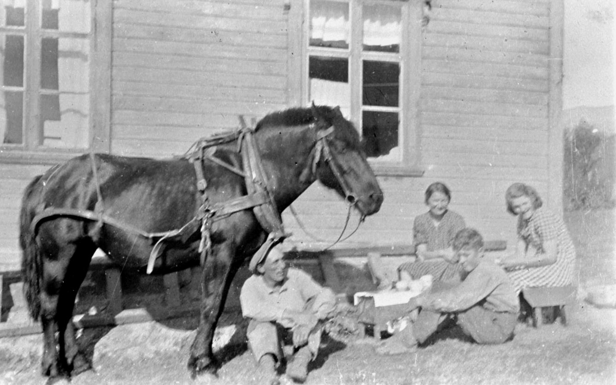 Kvilestund for mennesker og dyr, Tingvoll