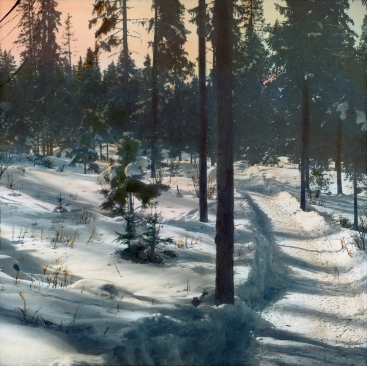 Håndkolorert dias. En bred sti eller vei snor seg gjennom et snødekt skogslandskap.
