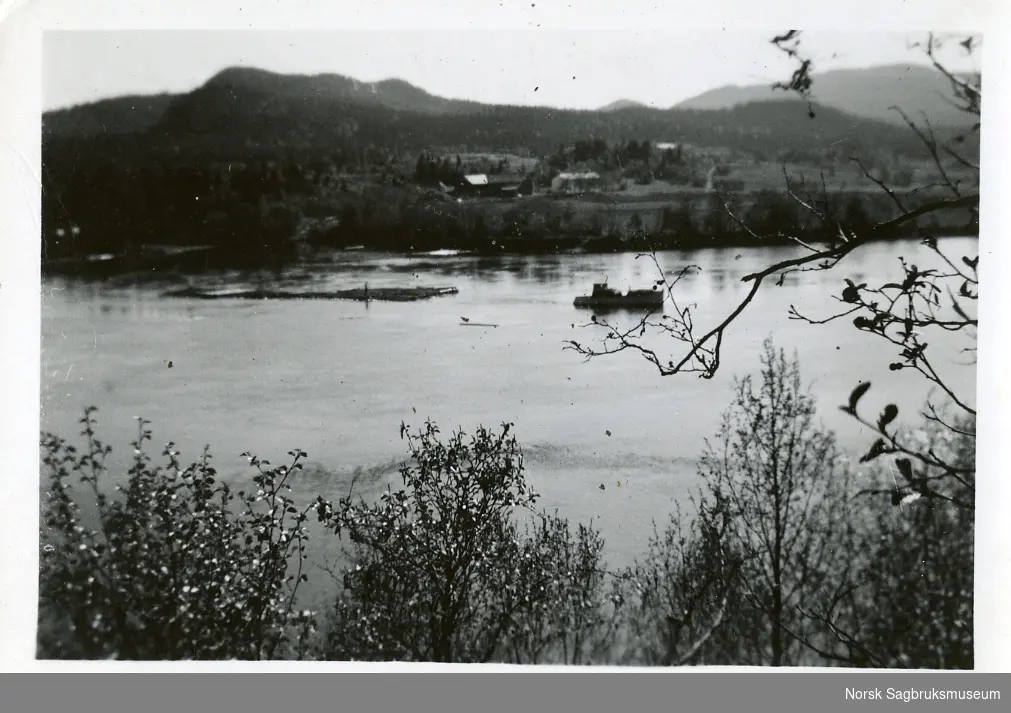 Tømmerslep i Namsen ved Lekkøya(?) 1937