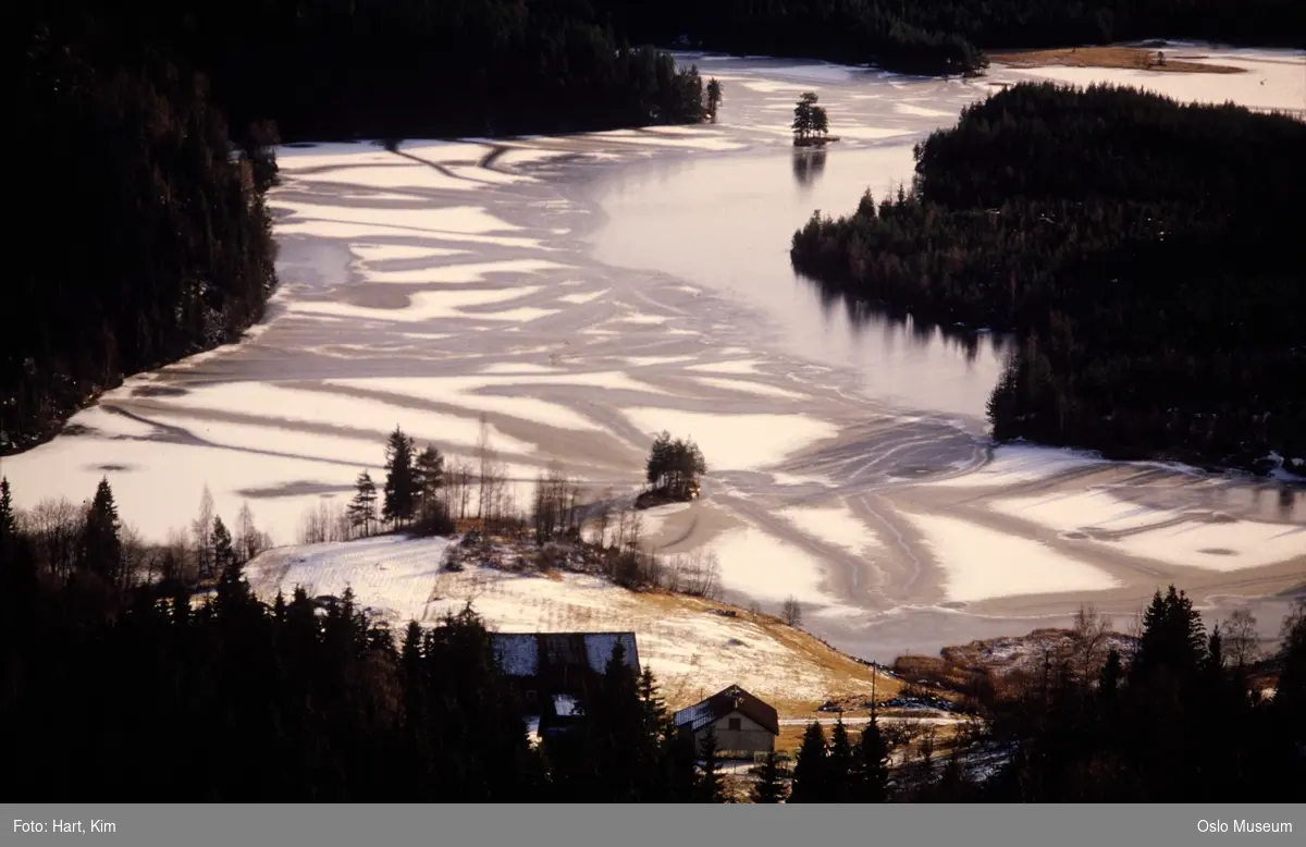 utsikt, gård, islagt vann, skog