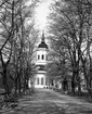 Stadsparken med domkyrkan i bakgrunden.