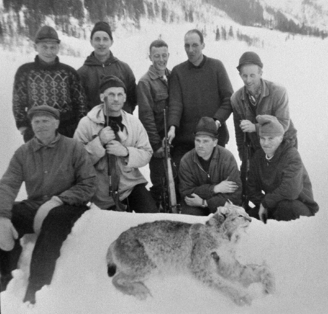 Gaupejakt.F.v.Tomas Renberg,Magne Nordås,?Magne Aaas,Svein Reinfjell foran f.v.Kåre Langvatn,Petter Ravatn,Kolbjørn Langvatn og Harald Langvatn.