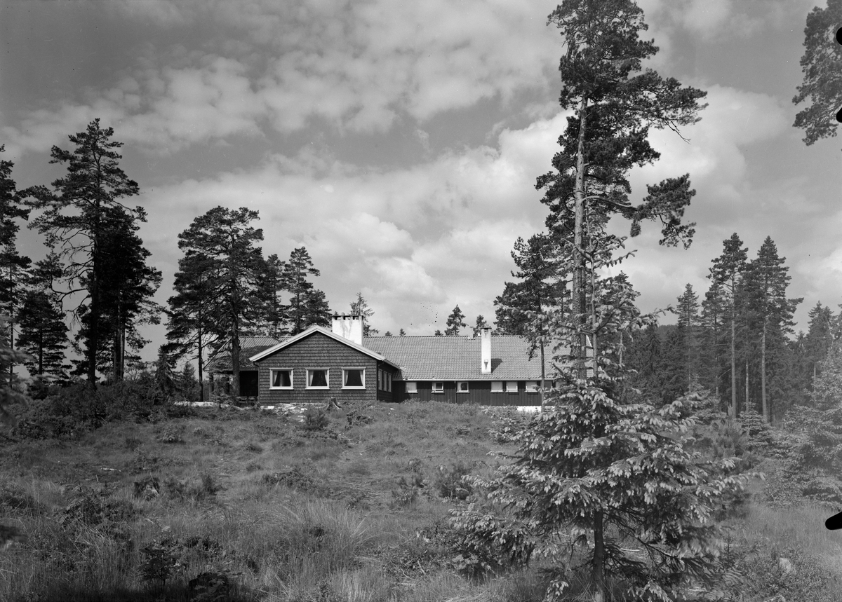 Skytterkollen ark. Arnstein Arneberg