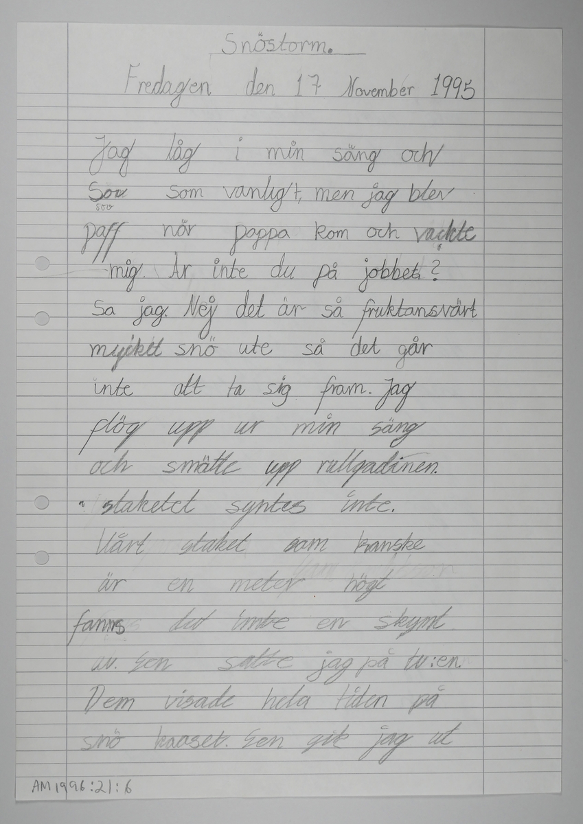 Snöstormen 16 - 17 november 1995.

En samling berättelser skrivna av elever i årskurs 4, Nolbyskolan Alingsås.

Ett omslag med två fotografier med 39 lösa A4-blad. 
Totalt 31 berättelser, från en halv sida till sju sidor.

Läraren Annemor Kirkbakk sammanställde och lämnade till Alingsås museum.