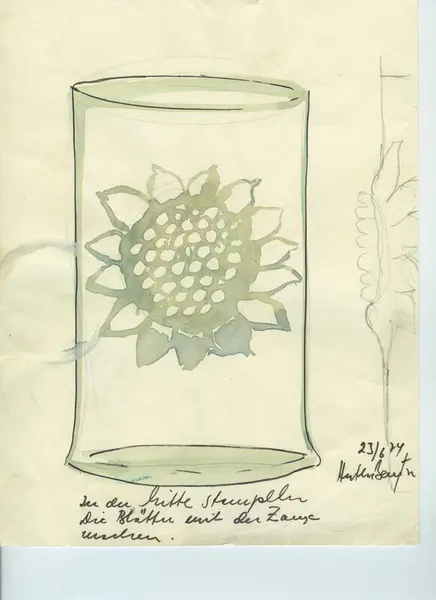 Glas och porslin [skiss]