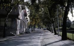 Elvegata ved Vestråt