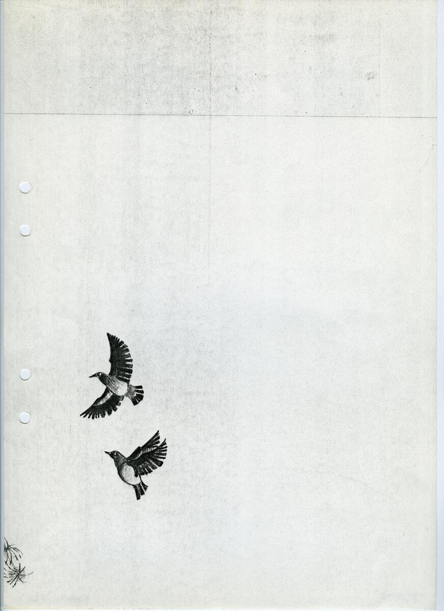 Materialet innehåller skisser till gravyrer av olika slag.