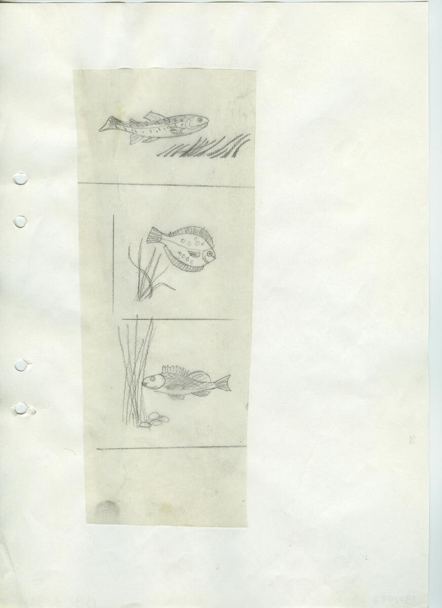 Materialet innehåller skisser till gravyrer av olika slag.