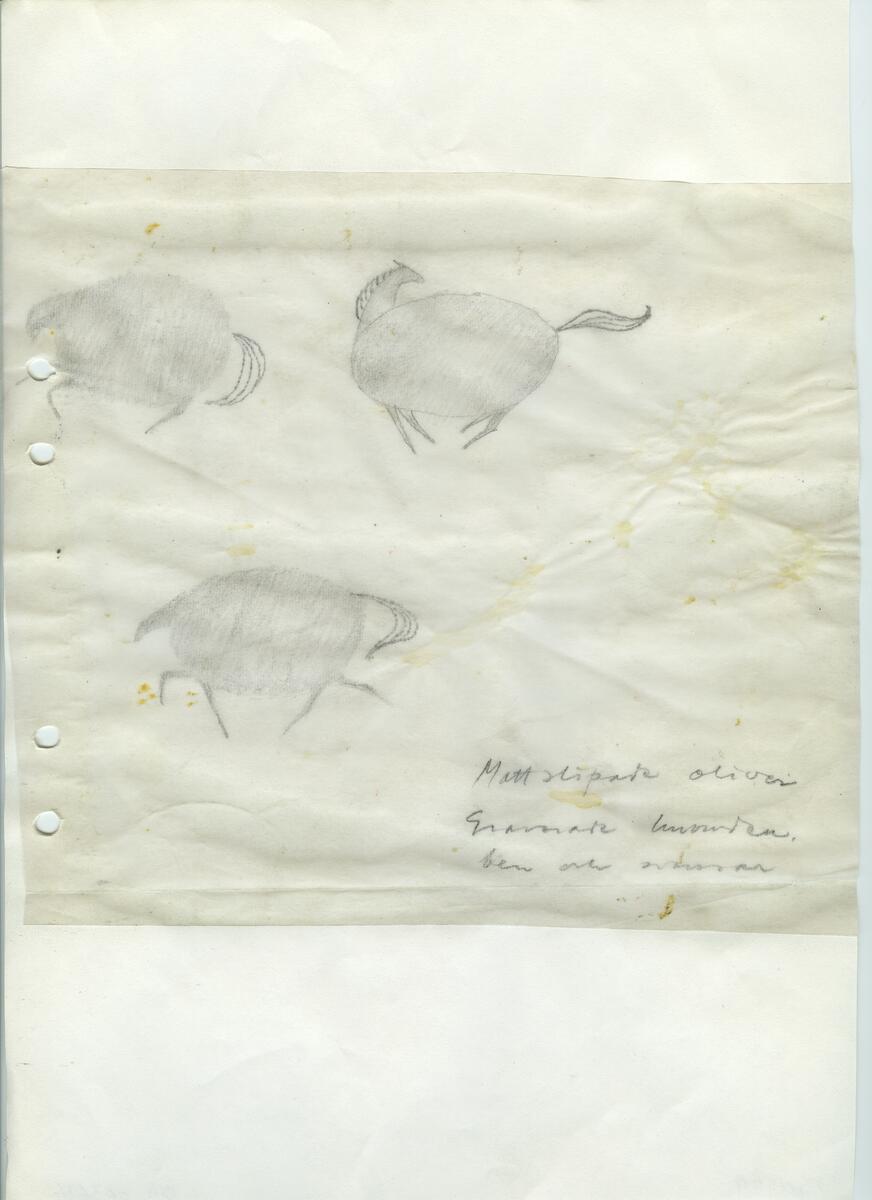 Materialet innehåller skisser till gravyrer av olika slag.