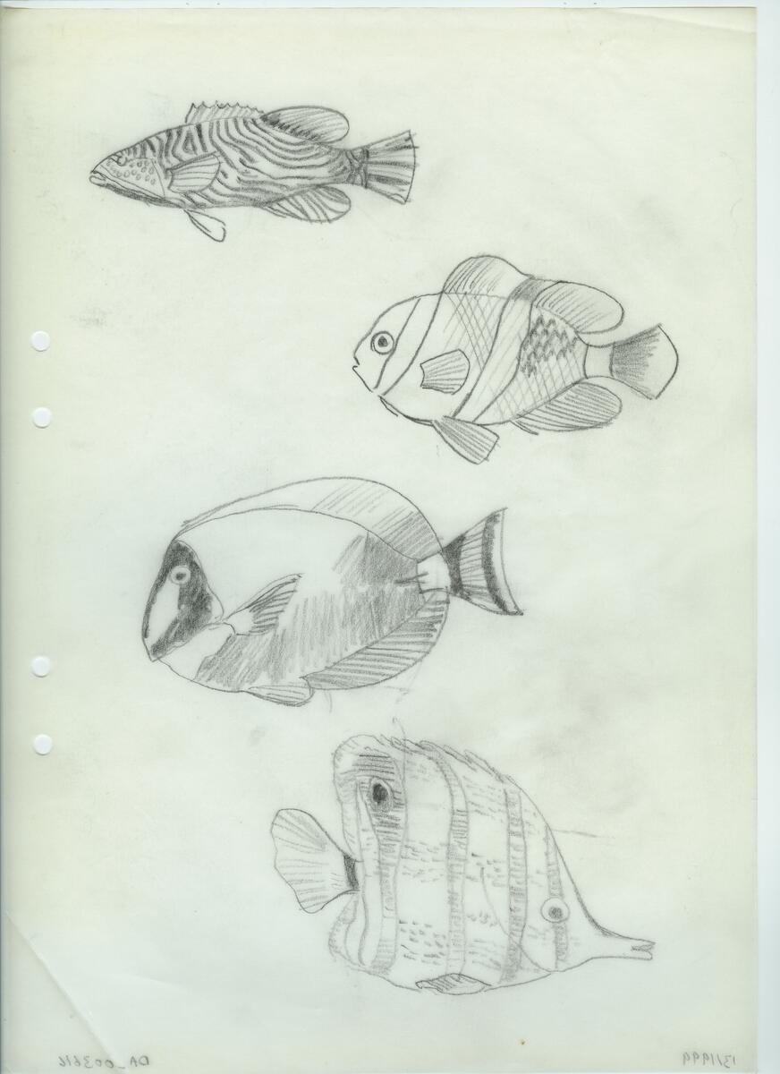 Materialet innehåller skisser till gravyrer av olika slag.