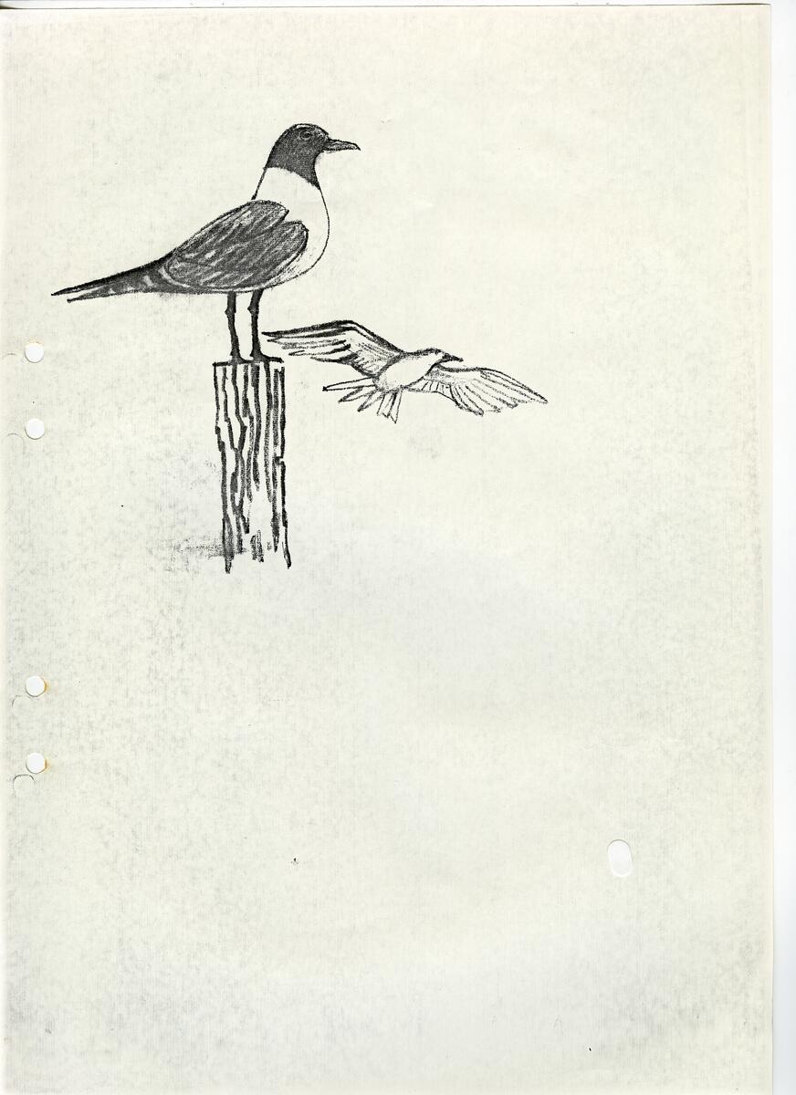 Materialet innehåller skisser till vaser, kannor, servisglas, snäckor, ishinkar, gravyrer m.m. . Det ingår även handlingar och korrespondens angående produkter och utbyte av ideér med olika uppdragsgivare och företag.