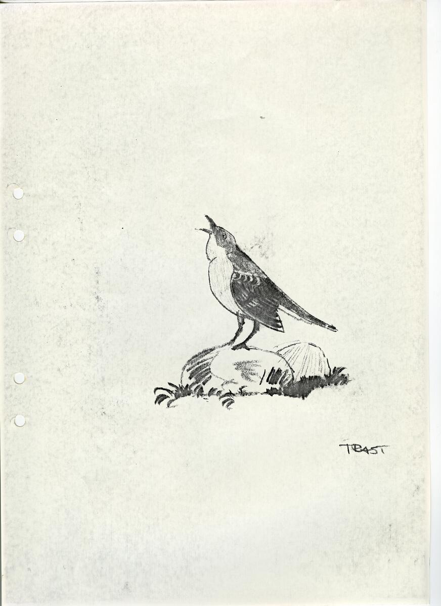 Materialet innehåller skisser till vaser, kannor, servisglas, snäckor, ishinkar, gravyrer m.m. . Det ingår även handlingar och korrespondens angående produkter och utbyte av ideér med olika uppdragsgivare och företag.