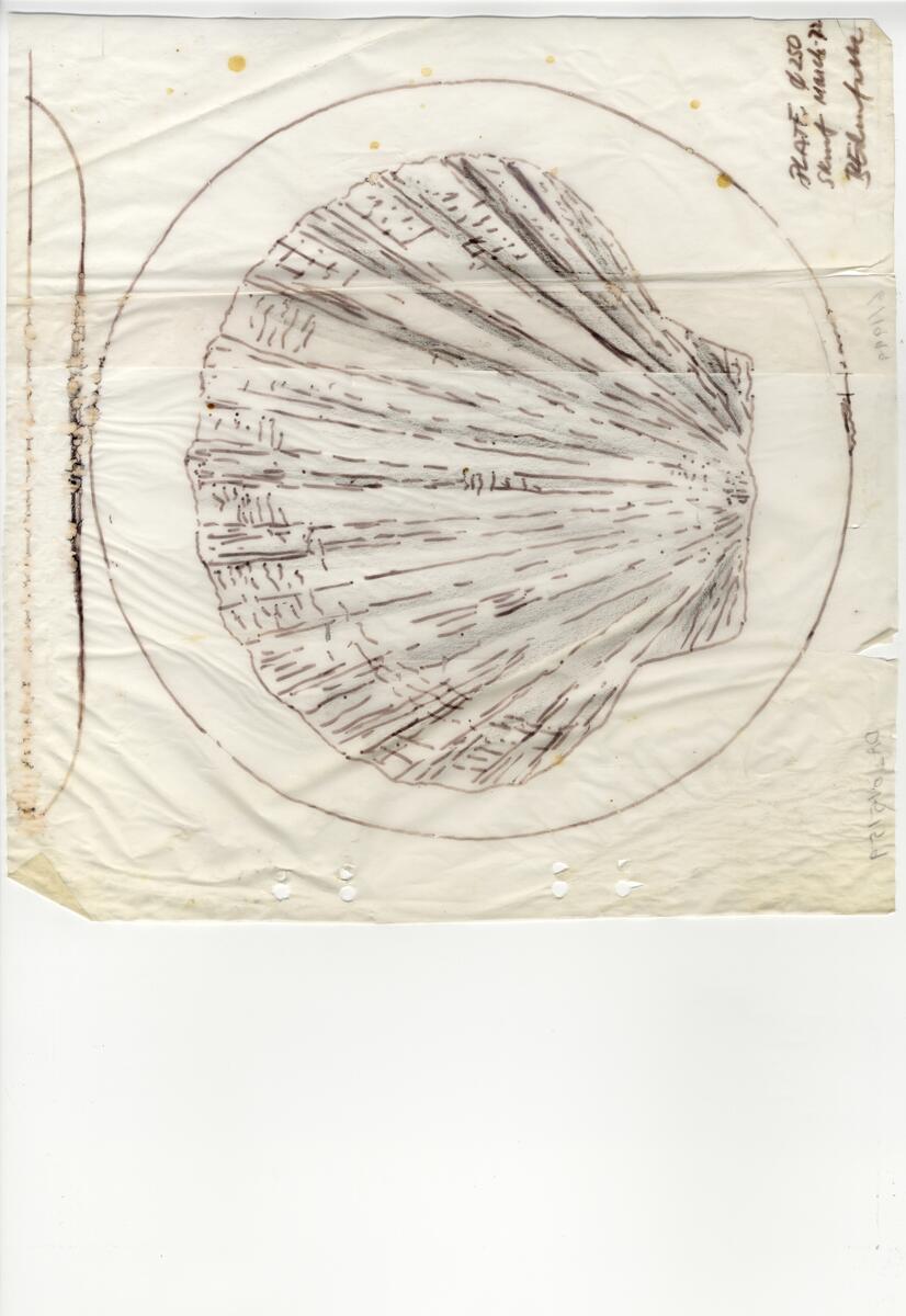 Materialet innehåller skisser till vaser, kannor, servisglas, snäckor, ishinkar, gravyrer m.m. . Det ingår även handlingar och korrespondens angående produkter och utbyte av ideér med olika uppdragsgivare och företag.