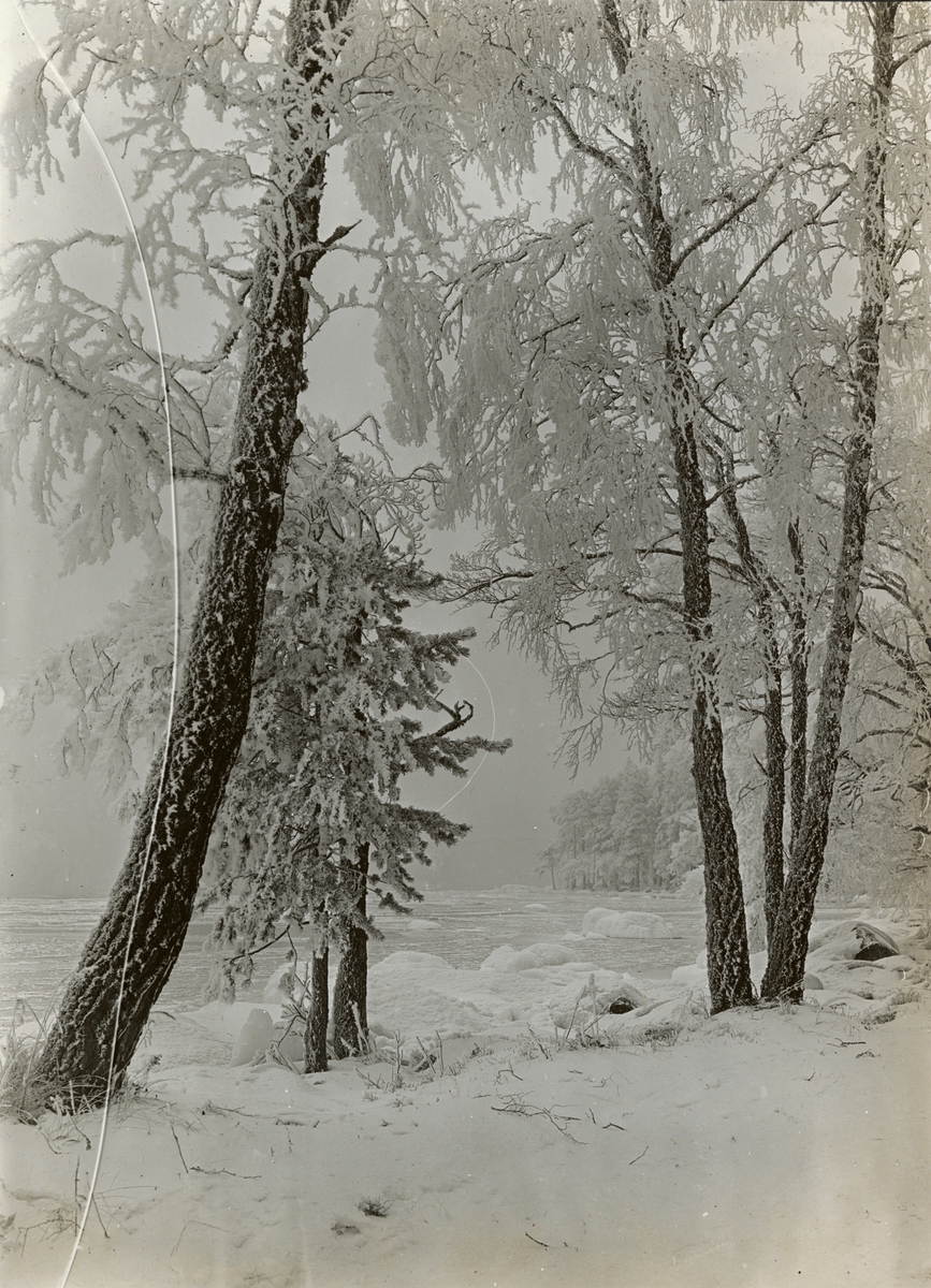 Text i fotoalbum: "Vinter på Gråbo".