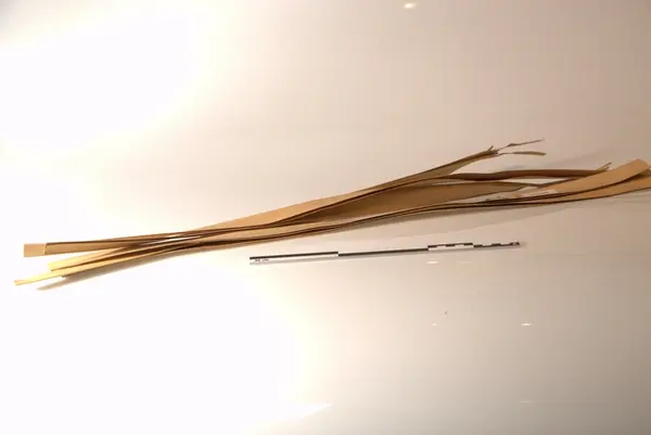 Malebarisk manuskrift, skrevet på 5 palmeblader